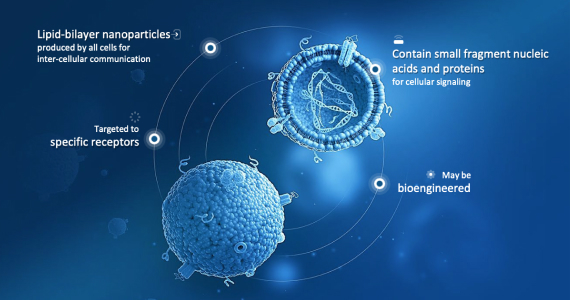 Exosomes Hair Therapy